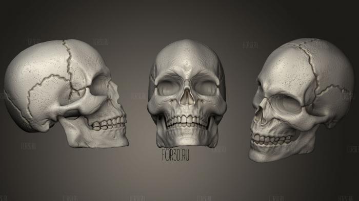 Skull stl model for CNC